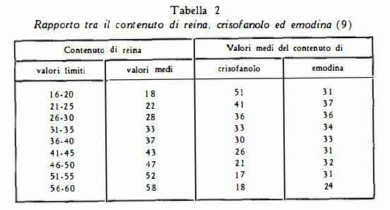 rabarbarocinese Figura 4