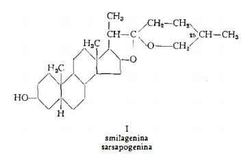 salsapariglia Figura 1