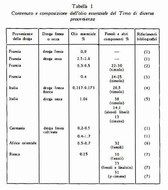 timovolgare Figura 1