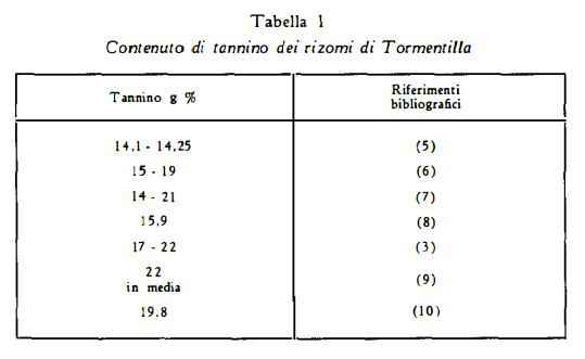 tormentilla Figura 1