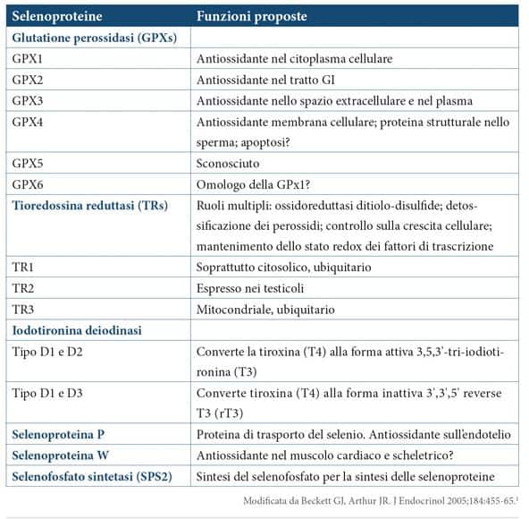 Selenio: selenoproteine