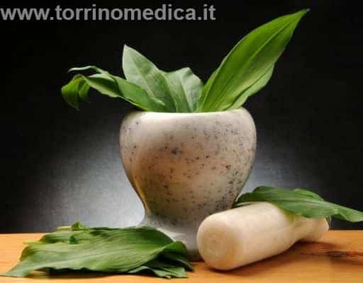 Piante Medicinali