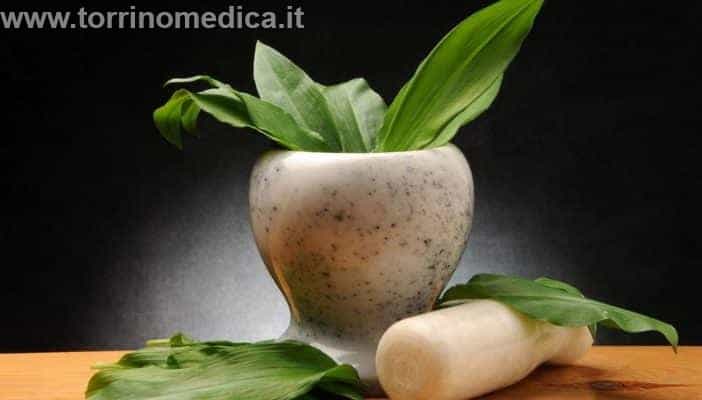 Viburno: proprietà curative. A cosa serve? Come si usa?