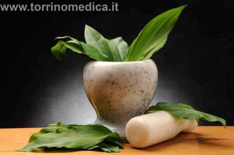 Piante Medicinali