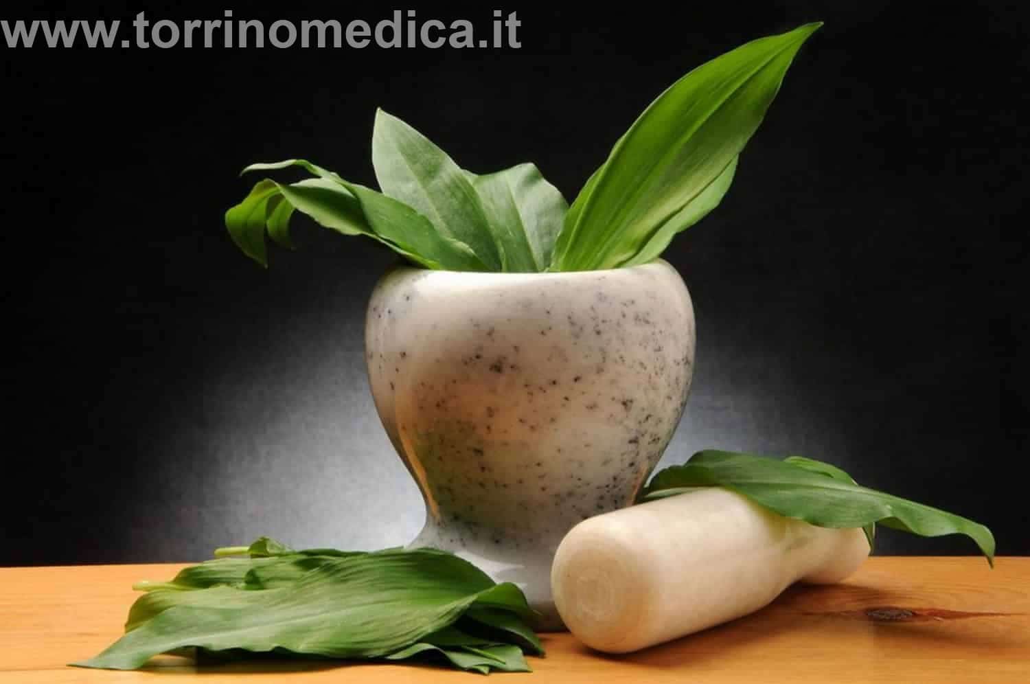 Viburno: proprietà curative. A cosa serve? Come si usa?