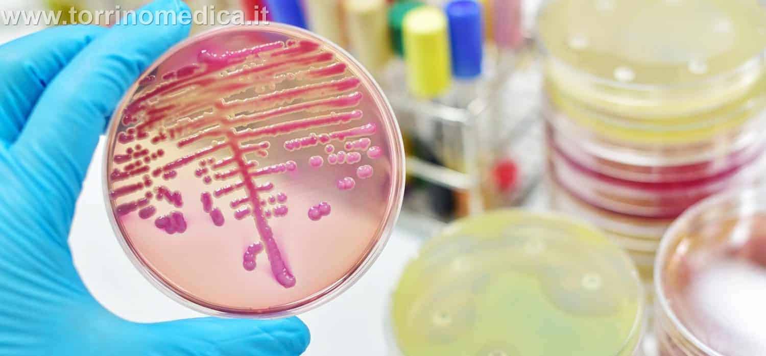 malattie infettive: streptococco, covid, omicron 5, influenza
