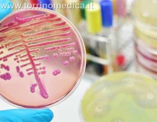 malattie infettive: streptococco, covid, omicron 5, influenza