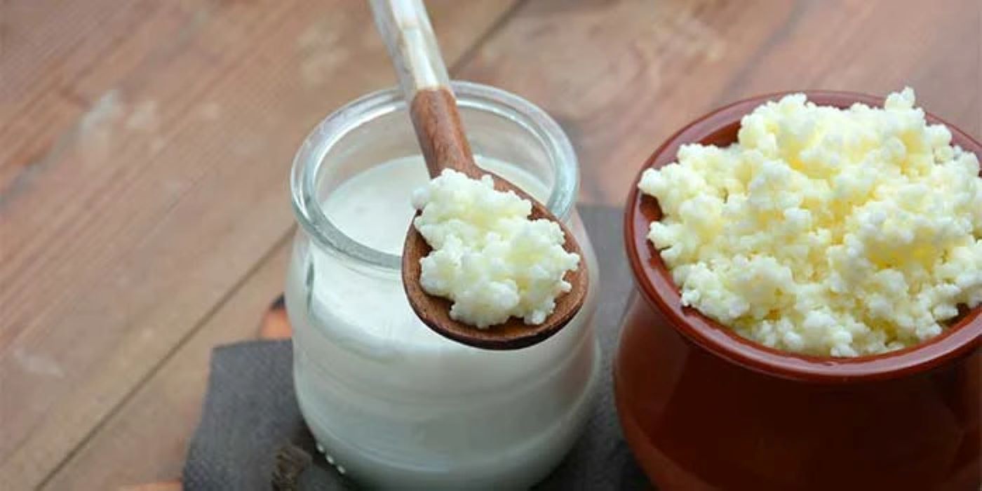 Che differenza c’è tra kefir e fermenti lattici?
