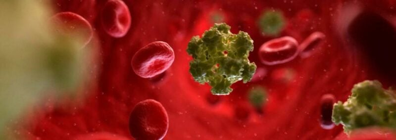 papilloma-virus