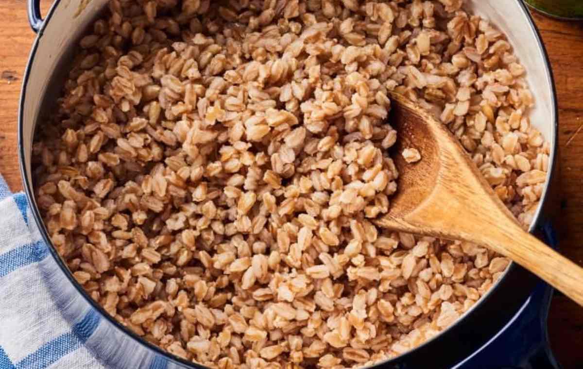 Chi ha più calorie il riso o il farro?