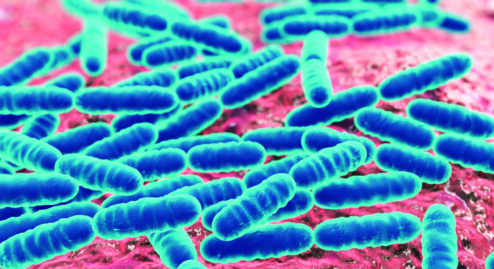 Quali fermenti lattici con metronidazolo