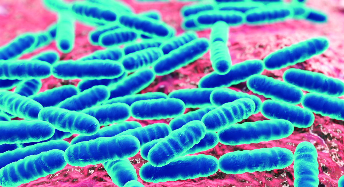 Cosa mangiare quando si assumono fermenti lattici?