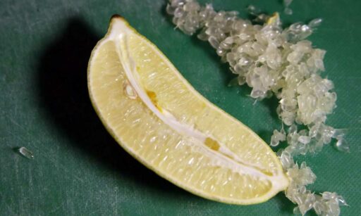 finger-lime