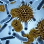 Microbiota
