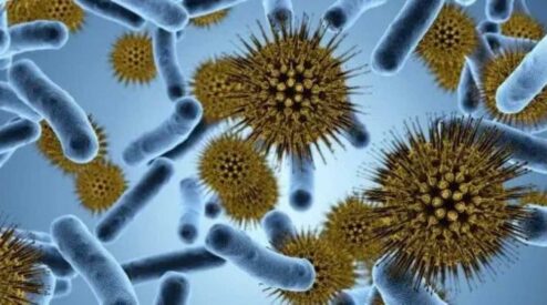 Cosa influenza il microbiota?