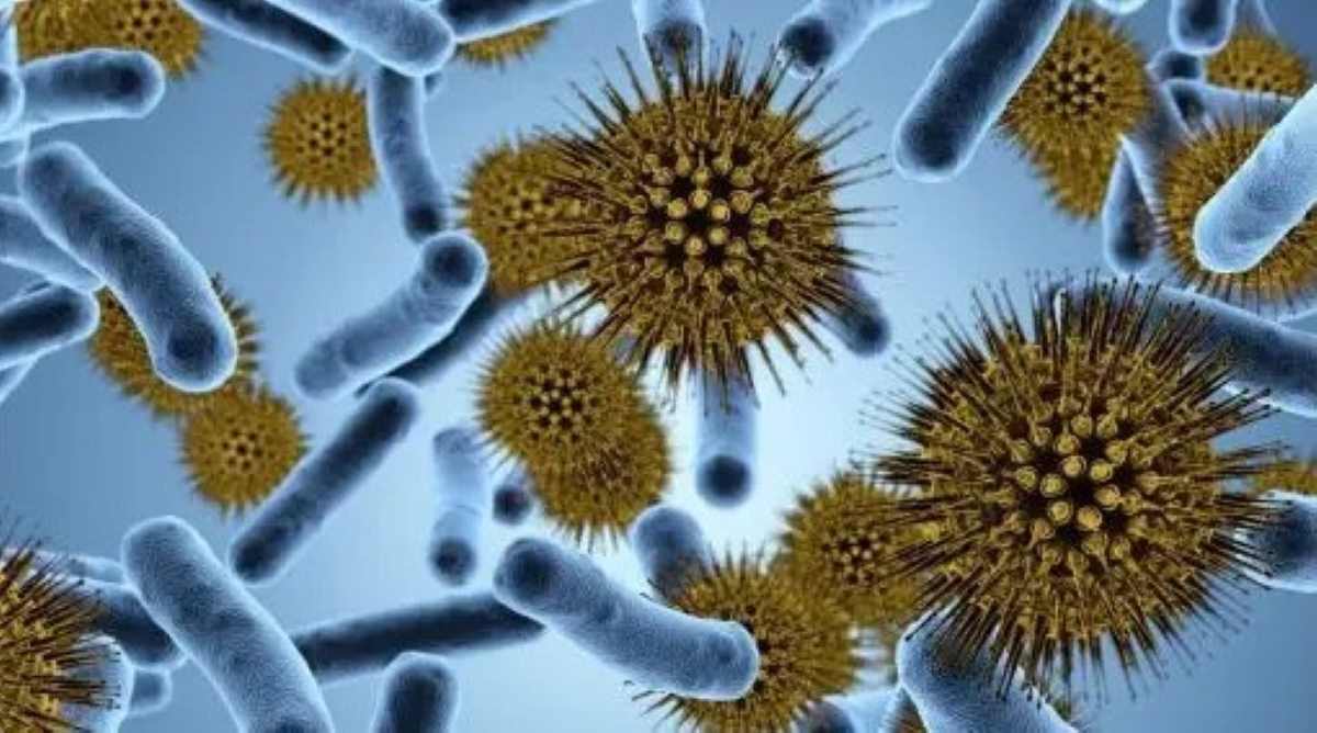 Quali sono i nemici del microbiota?