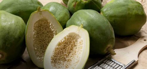 Papaya fermentata 500ml: Scheda Tecnica