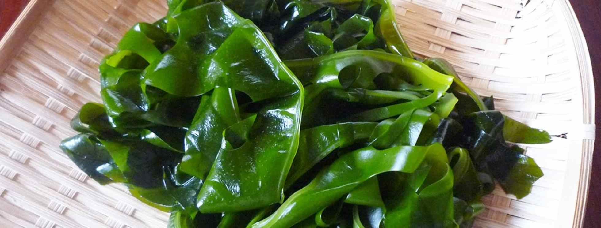 wakame