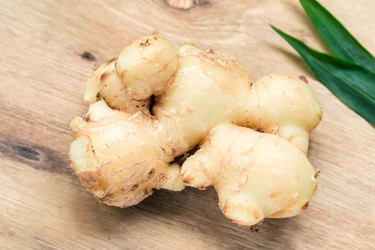 Chi ha la pressione bassa può prendere lo zenzero?