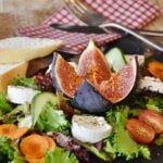 Cosa mangiano gli animali?