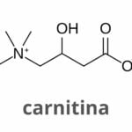 carnitina