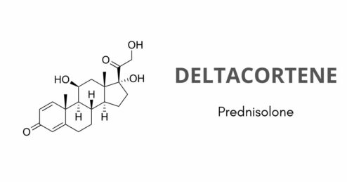 A cosa serve il Deltacortene 25 mg compresse?