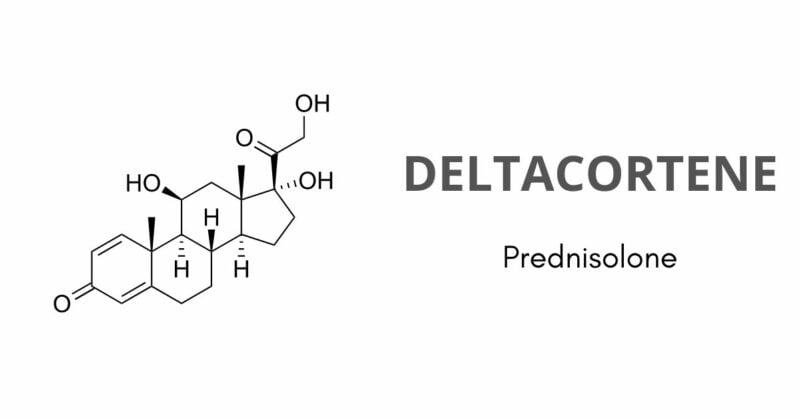 deltacortene