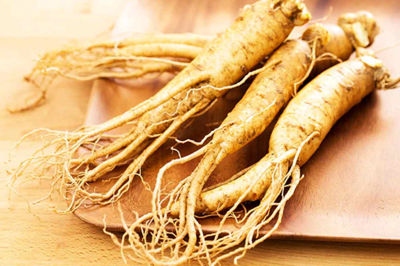 Ginseng 60cps Anderson Research Srl: Scheda Tecnica