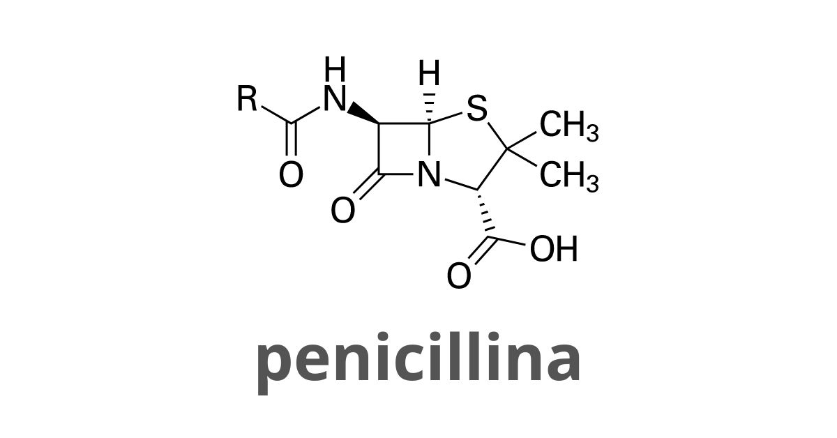 Come agisce la penicillina sui batteri?
