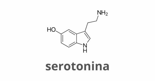 Cosa fa la serotonina nel cervello?