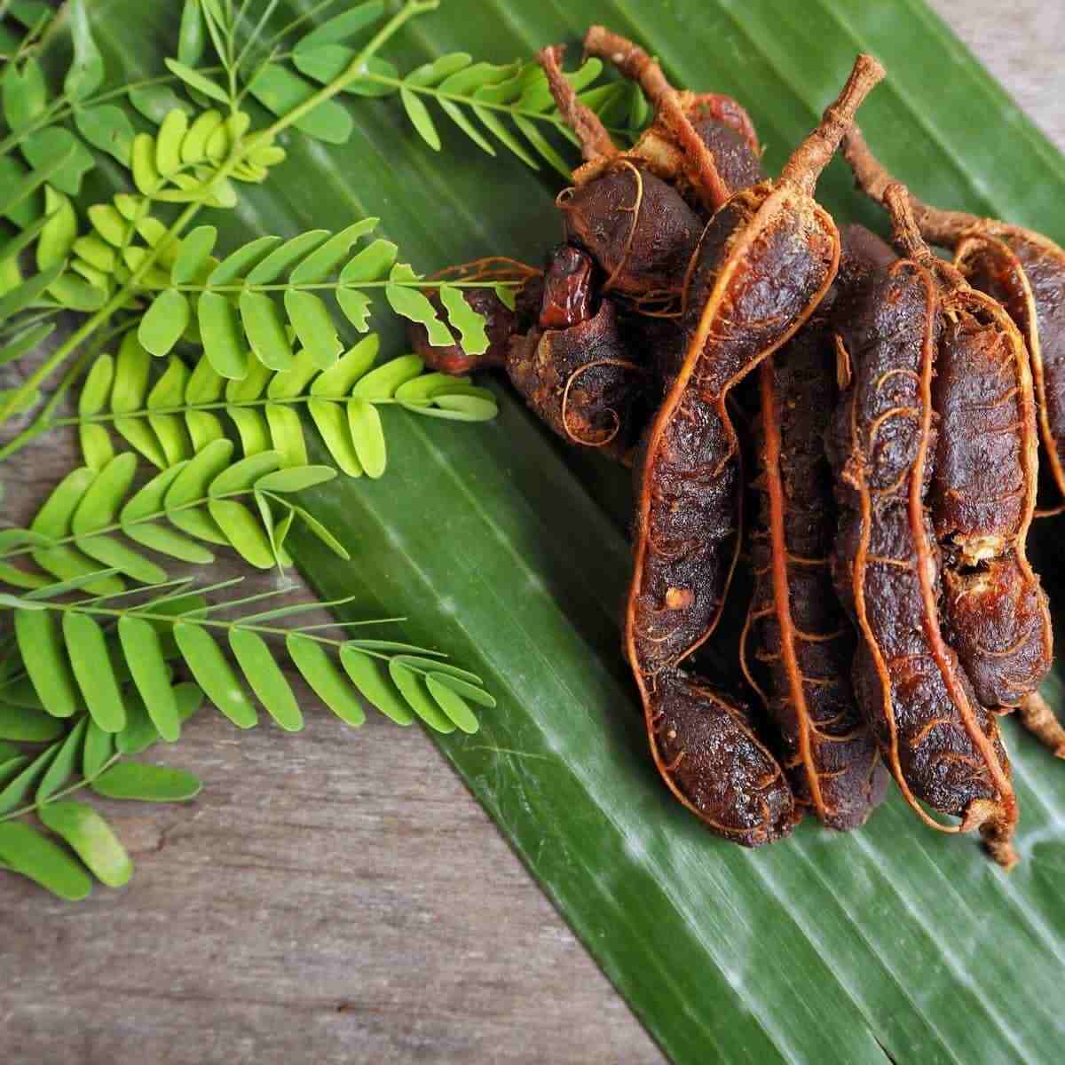 Tamarindo: contenuti nutrizionali e uso in cucina