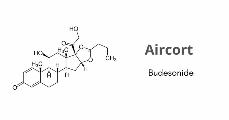 aircort Budesonide