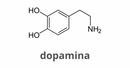 Quali sono gli effetti della dopamina?