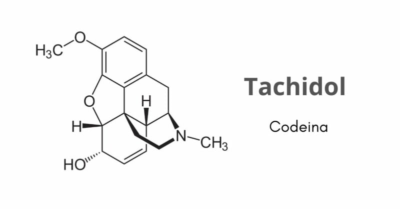 tachidol