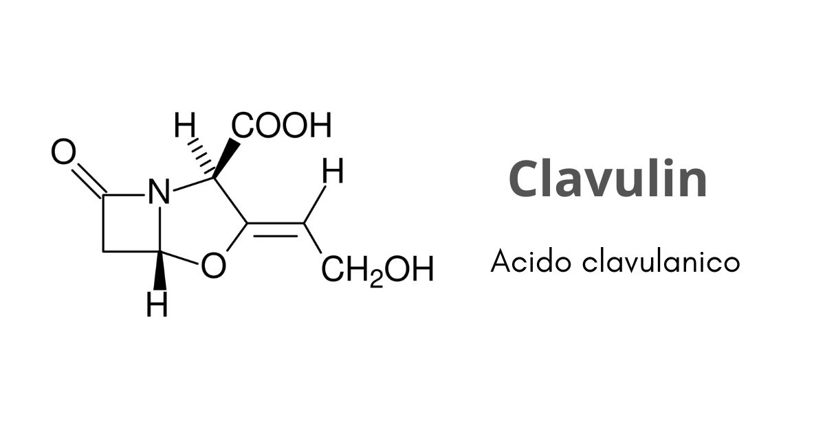 Quante volte al giorno si prende Clavulin?