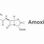 amoxicillina