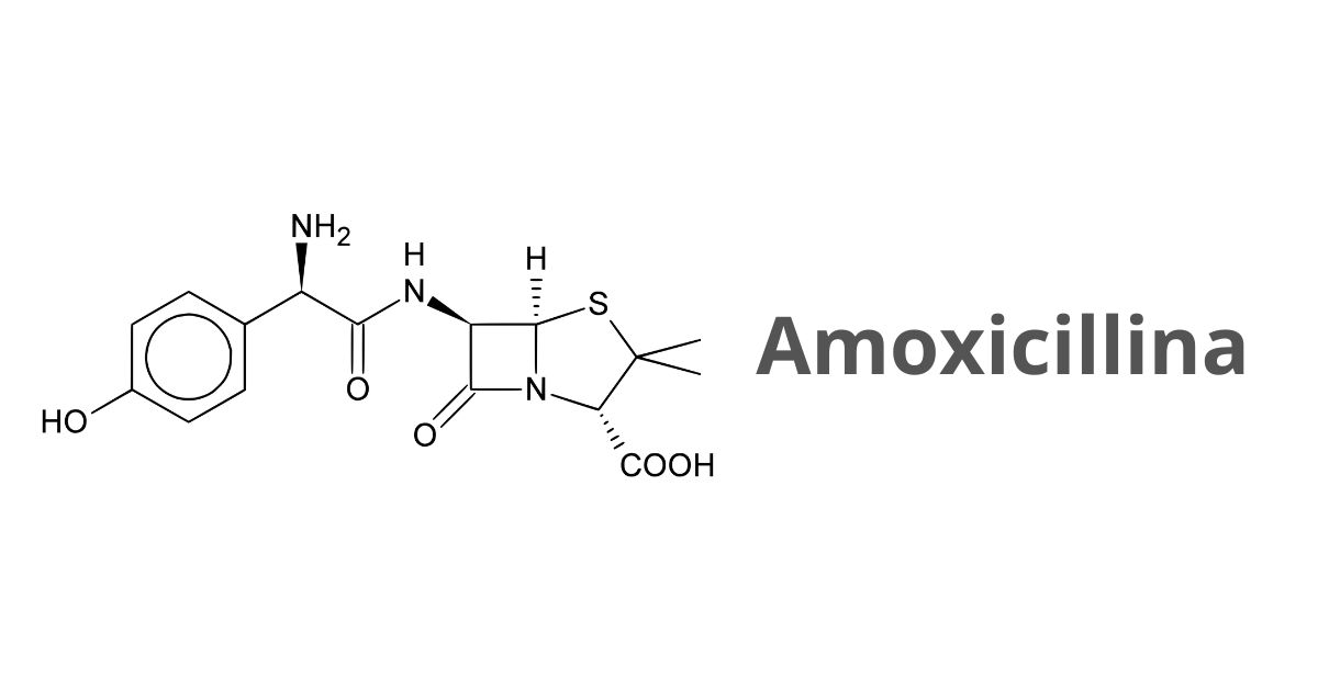 Quanti giorni ci vuole per smaltire antibiotico amoxicillina?