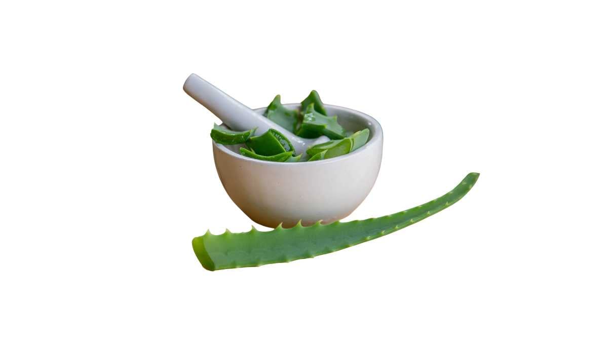 Aloe Vera dentro al pestello per ricavare il gel