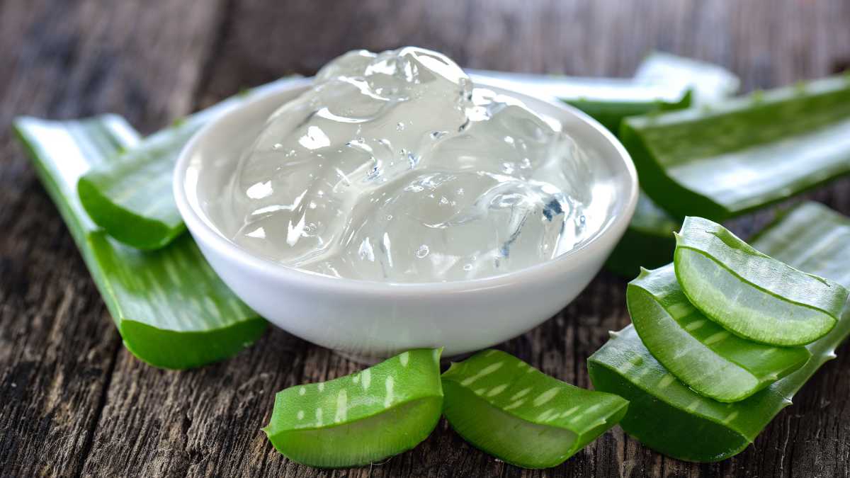 Aloe Vera e il gel che se ne può ricavare