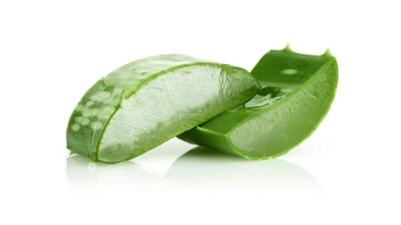 Aloe Vera in due piccole sezioni di foglia