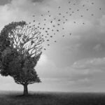Alzheimer come foglie di memoria che volano via