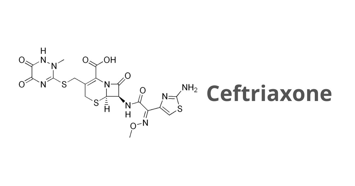ceftriaxone