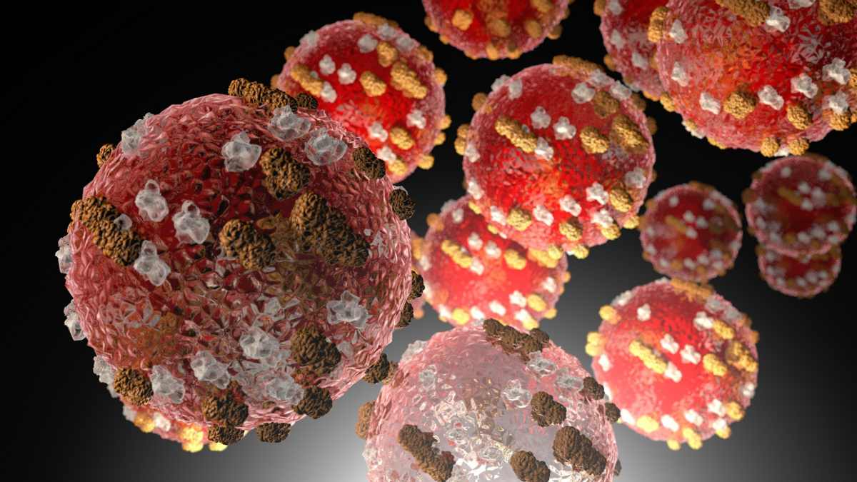 Cellule del virus del morbillo