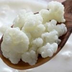 Fermenti di Kefir in grado di trasformare il latte