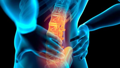 Human spine and lower back pain