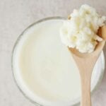 Per fare il Kefir bastano due ingredienti_ il latte e fermenti tipici