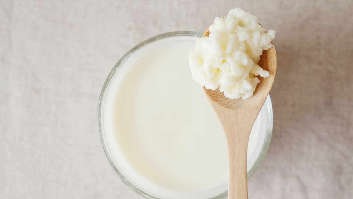 Per fare il Kefir bastano due ingredienti_ il latte e fermenti tipici