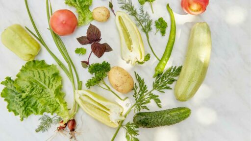 Plant based diet food ingredients