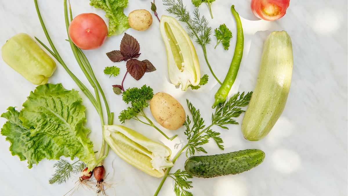 Can I eat eggs on a plant-based diet?