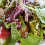 Rich vegetarian salad